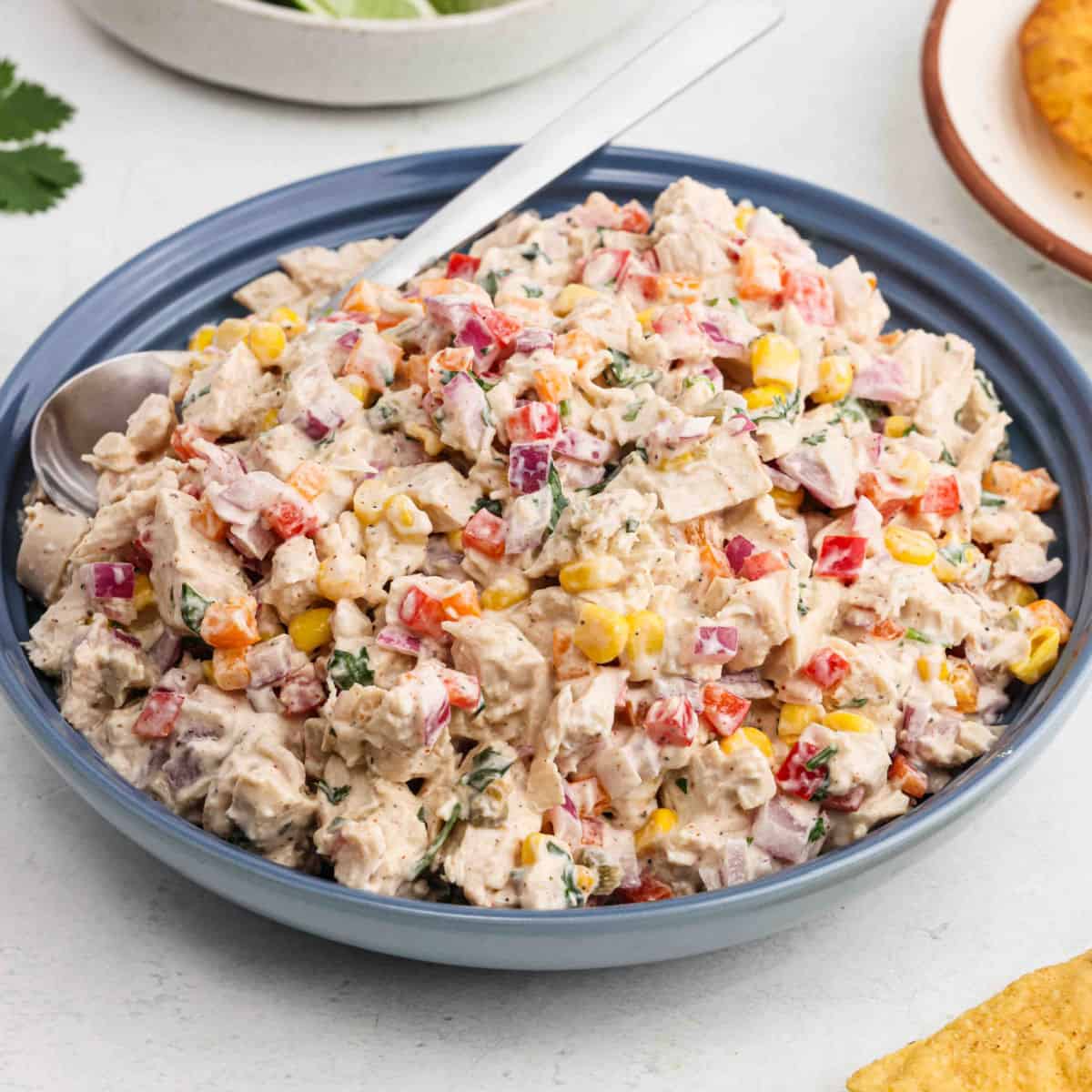 Mexican Chicken Salad on a plate