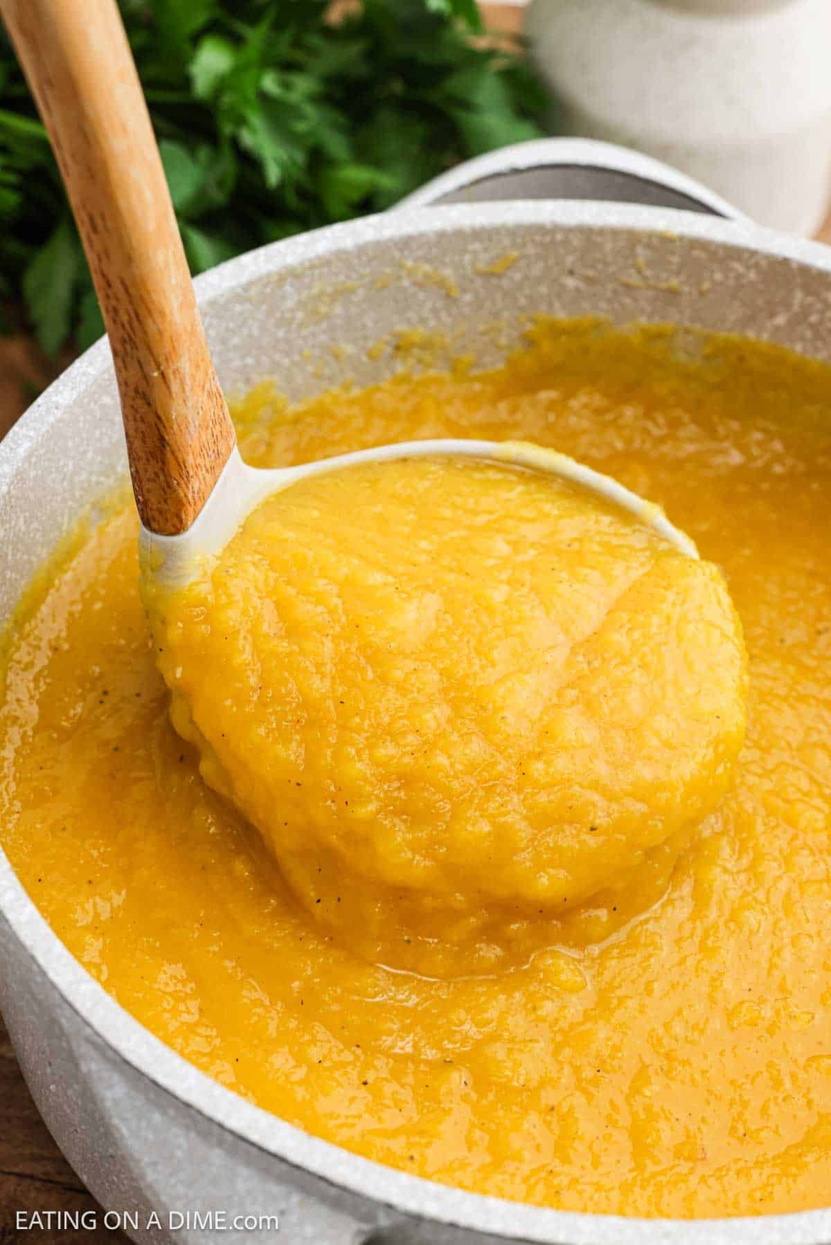 Soup in a large pot with a serving on the ladle.