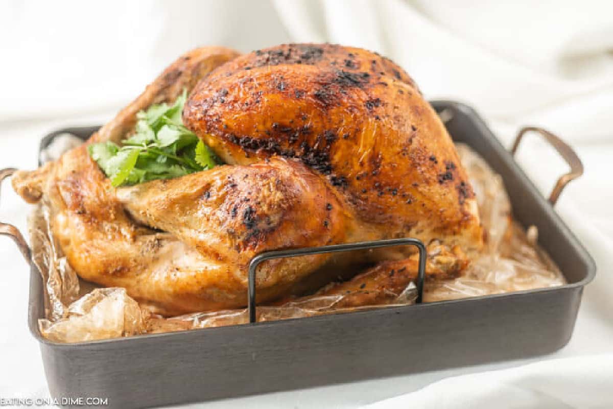 Roasted turkey in a roasting pan.